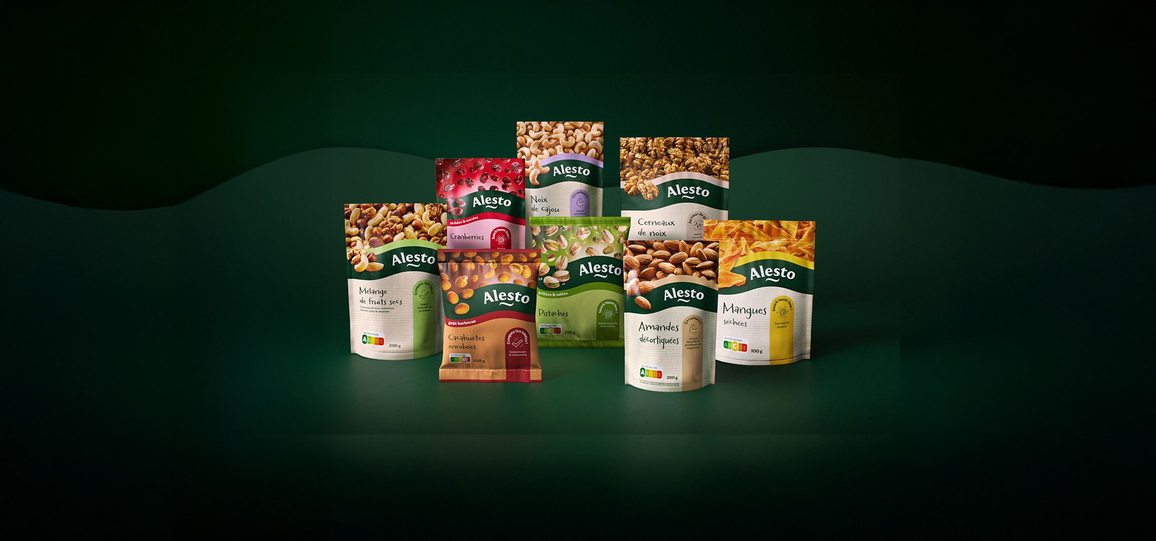 Assortiment de sachets de fruits secs et de noix, incluant noix de cajou, cranberries, cerneaux de noix, pistaches, amandes et mangues séchées.