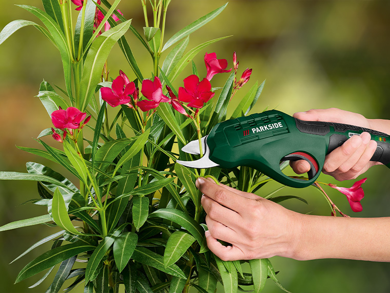 Les équipements de jardinage sur Lidl