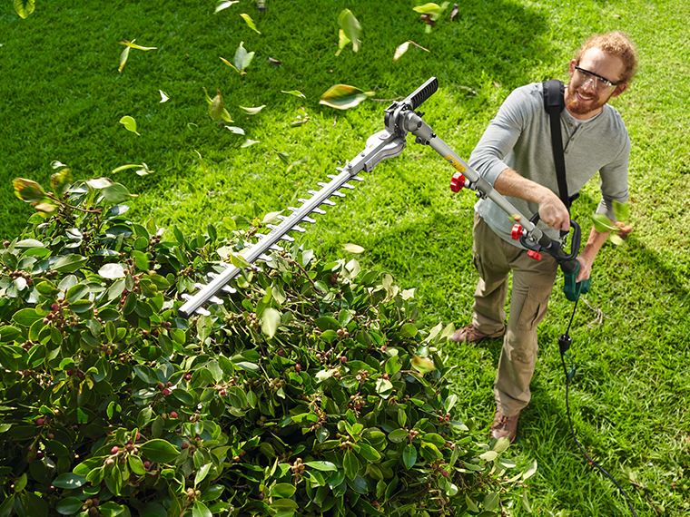 Cultivez votre passion du jardinage 💚​